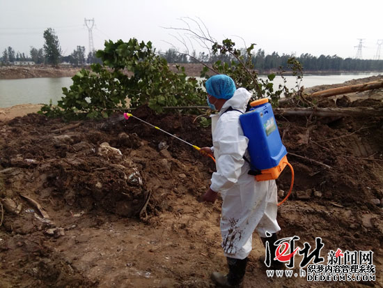 河北先后向災區調撥疫苗11000支 暫無(wú)洪澇疫情報告 河北先后向災區調撥疫苗11000支 暫無(wú)洪澇疫情報告