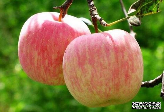 河北品牌叫響云南 “冀”特產(chǎn)這么多總有一款來(lái)自你的老家