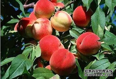 河北品牌叫響云南 “冀”特產(chǎn)這么多總有一款來(lái)自你的老家
