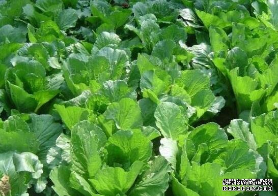 河北品牌叫響云南 “冀”特產(chǎn)這么多總有一款來(lái)自你的老家