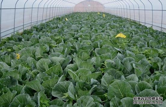 河北品牌叫響云南 “冀”特產(chǎn)這么多總有一款來(lái)自你的老家
