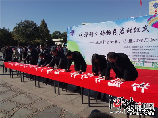 河北省“保護野生動(dòng)物宣傳月”活動(dòng)啟動(dòng)（圖）