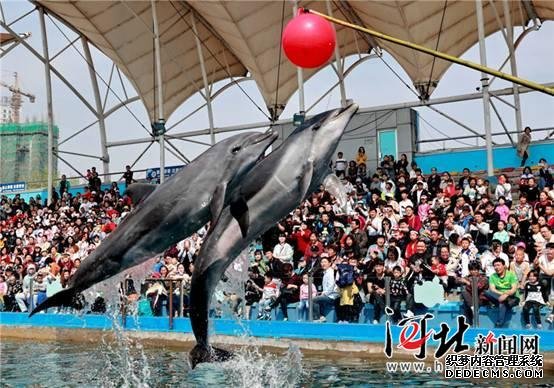 秦皇島“五一”假期接待游客逾211萬(wàn)人次